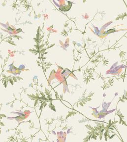Hummingbirds Wallpaper by Cole & Son Soft Multi, Olive Green on White