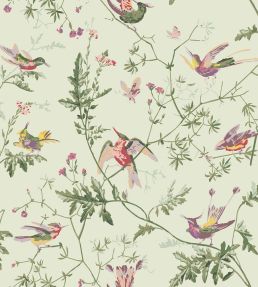 Hummingbirds Wallpaper by Cole & Son Multi, Old Olive on Eau Du Nil