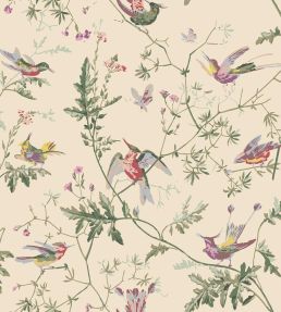 Hummingbirds Wallpaper by Cole & Son Classic Multi & Old Olive on Cream