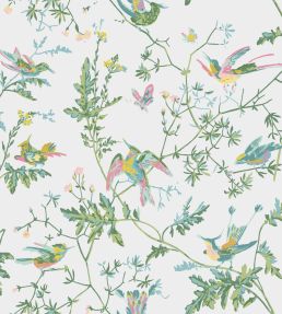 Hummingbirds Wallpaper by Cole & Son Green & Pink