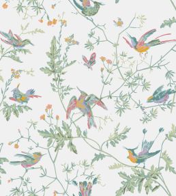 Hummingbirds Wallpaper by Cole & Son Pastel