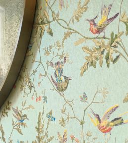 Hummingbirds Wallpaper by Cole & Son Multi, Old Olive on Duck Egg