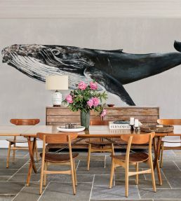 Humpback Whale Mural by Coordonne Grey