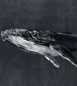 Humpback Whale Mural by Coordonne Night