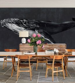 Humpback Whale Mural by Coordonne Night