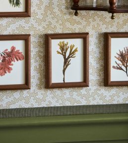 Kirklington Strie Braid Trim by Sanderson Parchment
