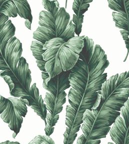 Lets Go Bananas Wallpaper by Woodchip & Magnolia Green