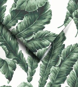 Lets Go Bananas Wallpaper by Woodchip & Magnolia Green