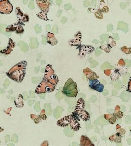 Magic Butterflies Wallpaper by Coordonne Maca