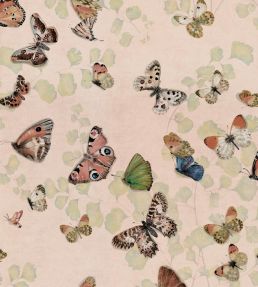 Magic Butterflies Wallpaper by Coordonne Sweet