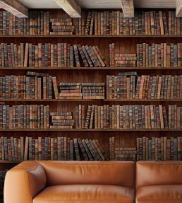 Book Shelves Wallpaper by MINDTHEGAP Brown Multi