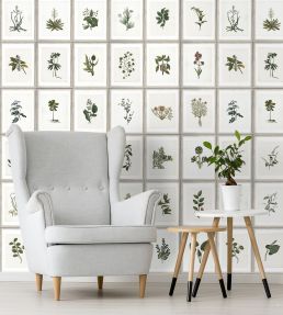 Botany Wallpaper by MINDTHEGAP Green,Grey