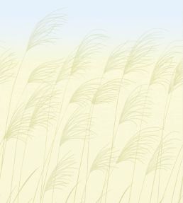 Miscanthus Mural by Harlequin Buttermilk/Sky