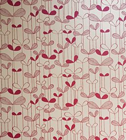 Saplings Wallpaper by MissPrint Cream with Pink