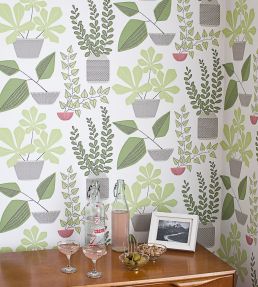 House Plants Wallpaper by MissPrint Brampton