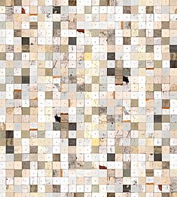 Scrapwood PHE-16 Wallpaper by NLXL Mosaic