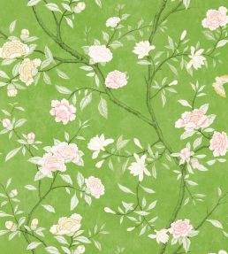 Nostell Priory Wallpaper by Zoffany Evergreen