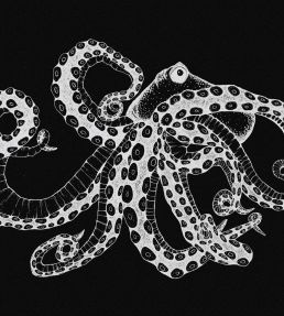 Octopus X-Ray Mural by Coordonne Black