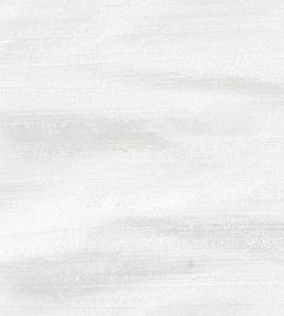 Orissa Silk Fabric by James Hare Ivory