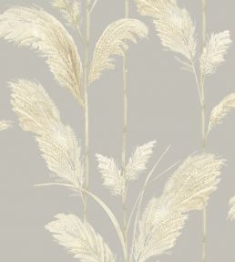 Pampas Grass Wallpaper by Brand McKenzie Neutral Grey