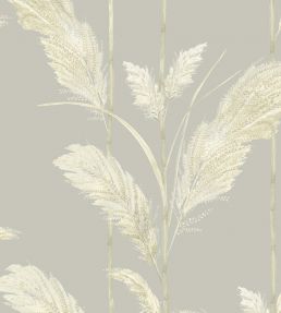 Pampas Grass Wallpaper by Brand McKenzie Neutral Grey