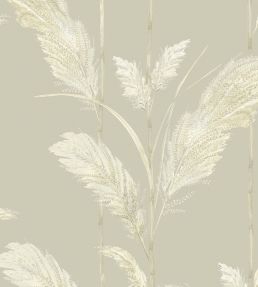 Pampas Grass Wallpaper by Brand McKenzie Oatmeal