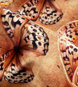 Papilio Velvet Fabric by Avalana Golden