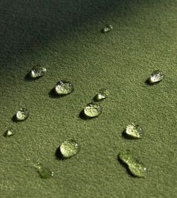 Performance Velvet Fabric by Harlequin Forest