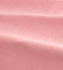 Performance Velvet Fabric by Harlequin Rose Quartz