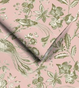 Plumage Mural by Woodchip & Magnolia Plaster Pink/Cream