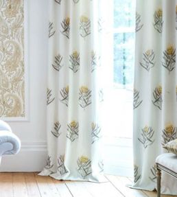 Protea Flower Fabric by Sanderson Gold