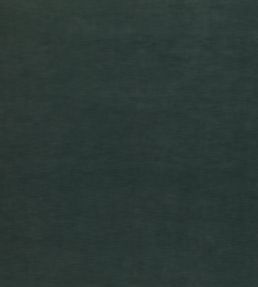 Quintessential Velvet Fabric by Threads Aqua