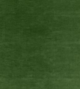 Quintessential Velvet Fabric by Threads Forest