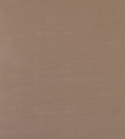 Quintessential Velvet Fabric by Threads Nutmeg