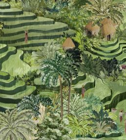 Rice Terrace Max Wallpaper by Brand McKenzie Grass Green