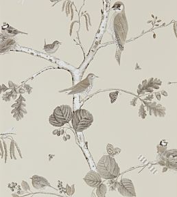 Woodland Chorus Wallpaper by Sanderson Sepia/Neutral