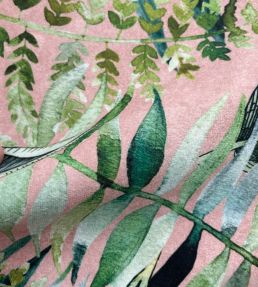 Tropics Velvet Fabric by Avalana Blush