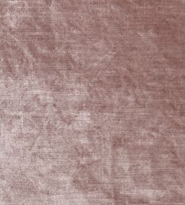 Allure Fabric by Clarke & Clarke Blush
