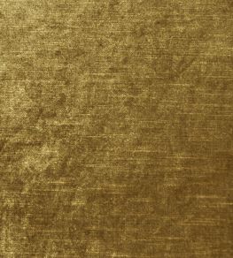 Allure Fabric by Clarke & Clarke Gold