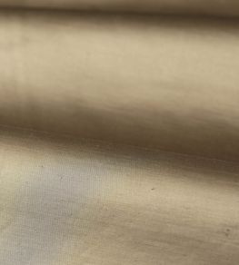 Amoret Fabric by Zoffany Fossil