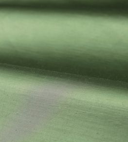 Amoret Fabric by Zoffany Jade