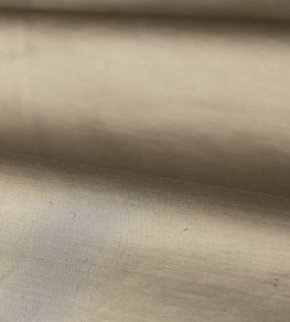 Amoret Fabric by Zoffany Stone