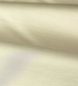Amoret Fabric by Zoffany White Opal