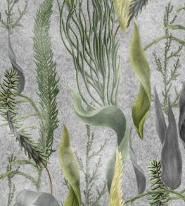 Aquatic Plants Wallpaper by MINDTHEGAP Grey