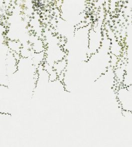 Aralia Mural by Sandberg Moss Green