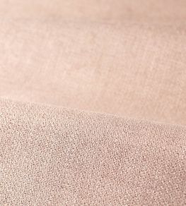 Audley Fabric by Zoffany Rose
