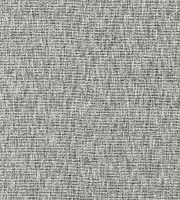 Avani Fabric by Clarke & Clarke Charcoal