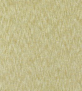 Avani Fabric by Clarke & Clarke Chartreuse
