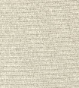 Avani Fabric by Clarke & Clarke Linen