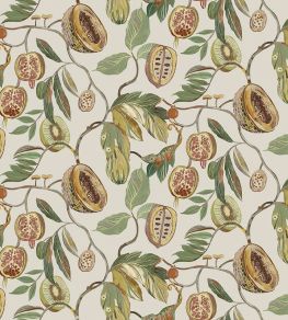 Baby Guava Fabric by Arley House Linen